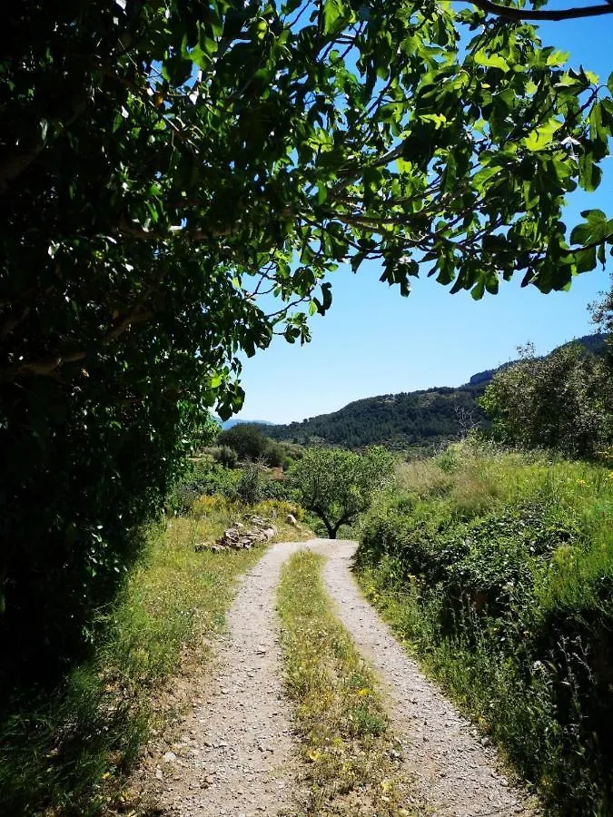 L'Antic Forn De Pauels Villa Holiday home