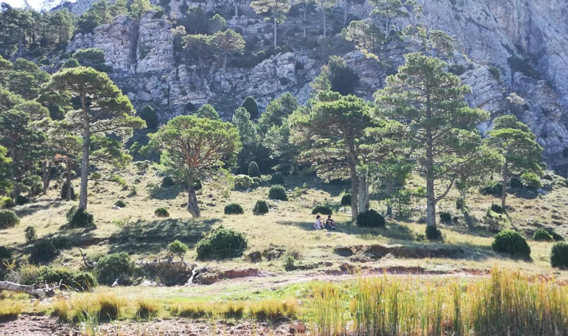 Сasa de vacaciones Villa L'Antic Forn de Paüls España