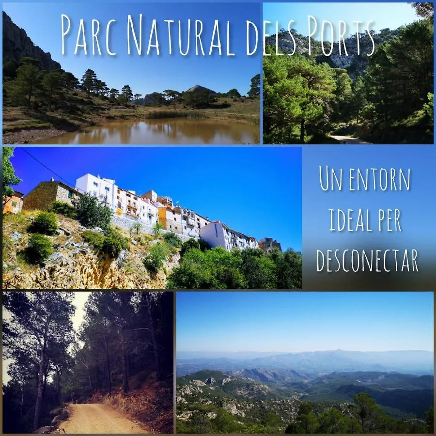 L'Antic Forn De Pauels Villa Pauls